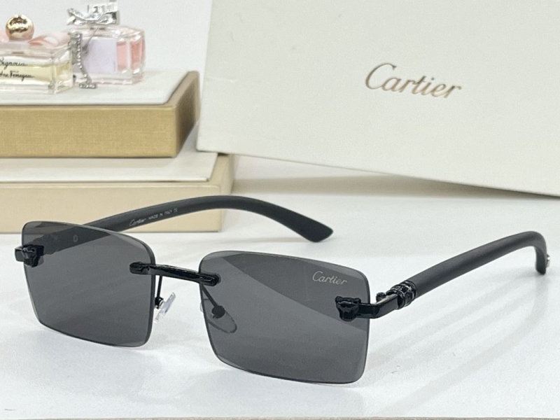 Cartier Sunglasses